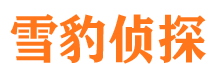 仙桃市调查公司